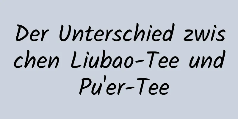 Der Unterschied zwischen Liubao-Tee und Pu'er-Tee