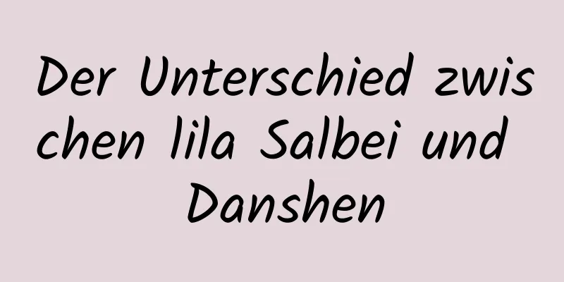 Der Unterschied zwischen lila Salbei und Danshen
