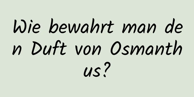 Wie bewahrt man den Duft von Osmanthus?