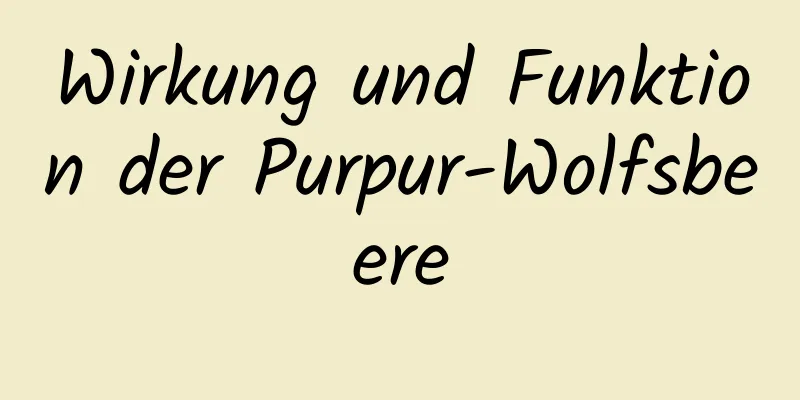 Wirkung und Funktion der Purpur-Wolfsbeere