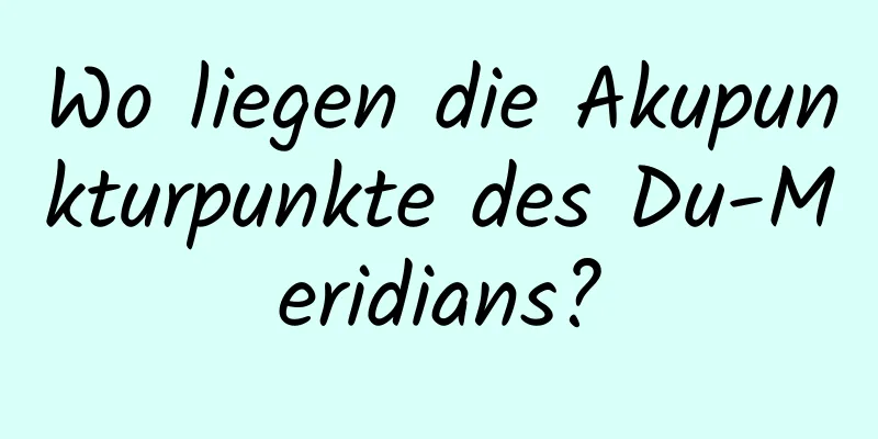 Wo liegen die Akupunkturpunkte des Du-Meridians?