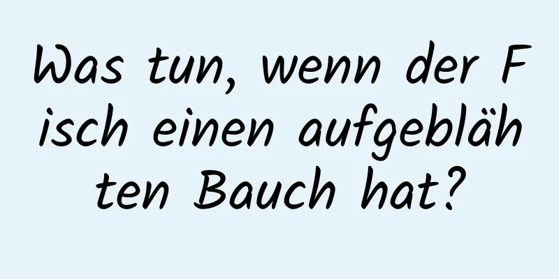 Was tun, wenn der Fisch einen aufgeblähten Bauch hat?