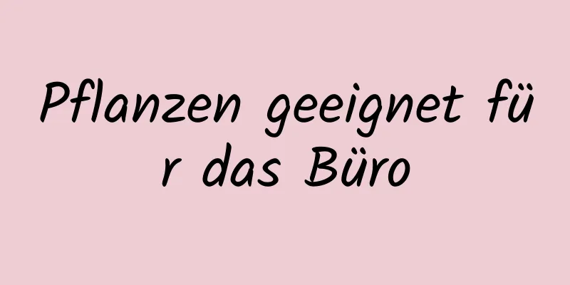 Pflanzen geeignet für das Büro