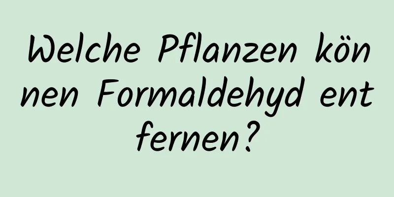 Welche Pflanzen können Formaldehyd entfernen?