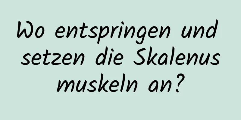 Wo entspringen und setzen die Skalenusmuskeln an?