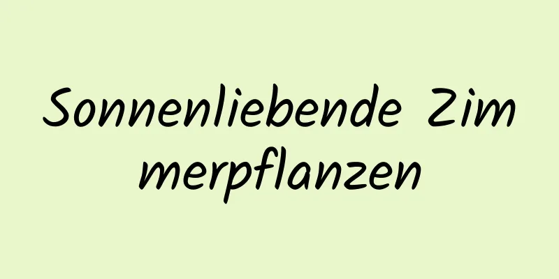 Sonnenliebende Zimmerpflanzen