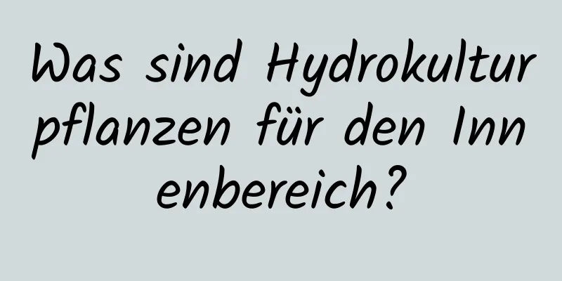 Was sind Hydrokulturpflanzen für den Innenbereich?