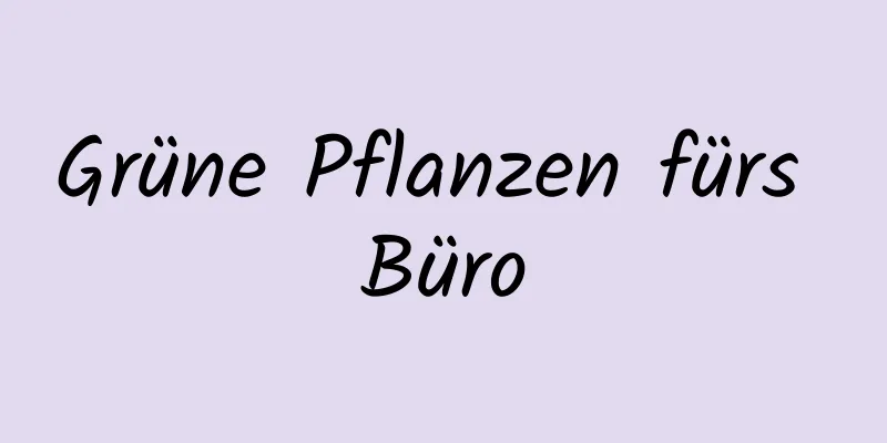 Grüne Pflanzen fürs Büro