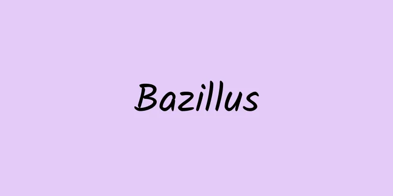 Bazillus