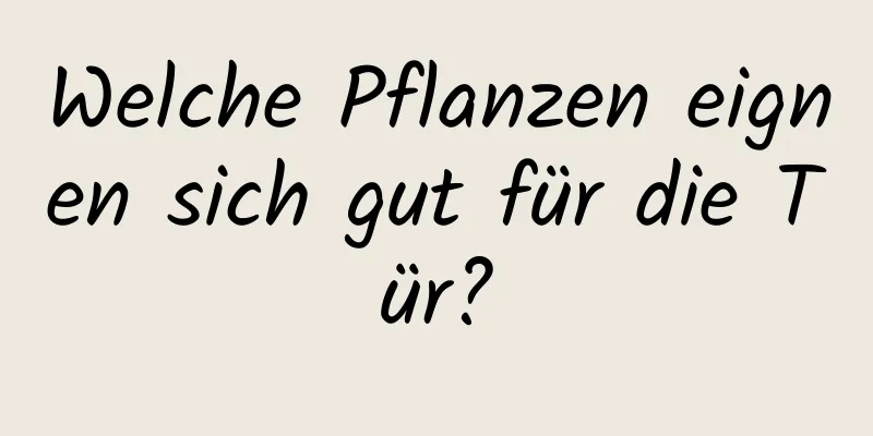Welche Pflanzen eignen sich gut für die Tür?