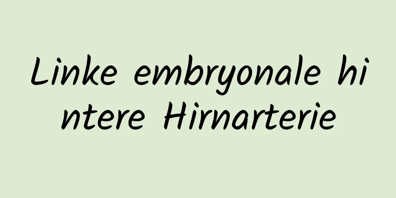 Linke embryonale hintere Hirnarterie