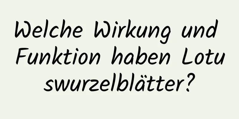 Welche Wirkung und Funktion haben Lotuswurzelblätter?