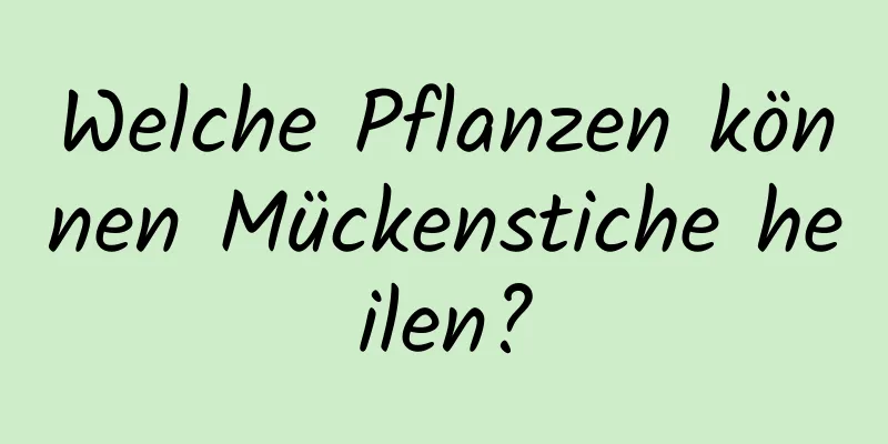 Welche Pflanzen können Mückenstiche heilen?