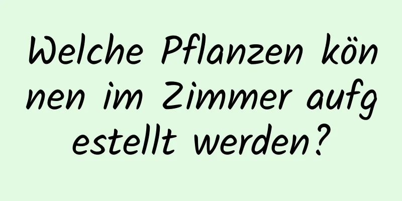 Welche Pflanzen können im Zimmer aufgestellt werden?