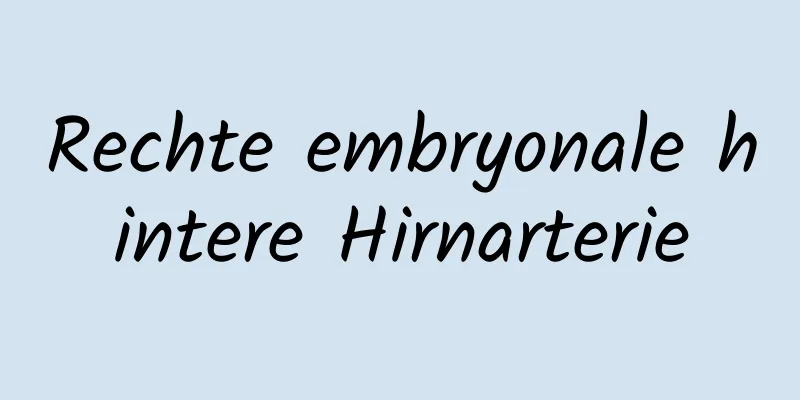 Rechte embryonale hintere Hirnarterie