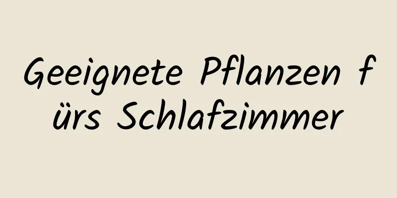 Geeignete Pflanzen fürs Schlafzimmer