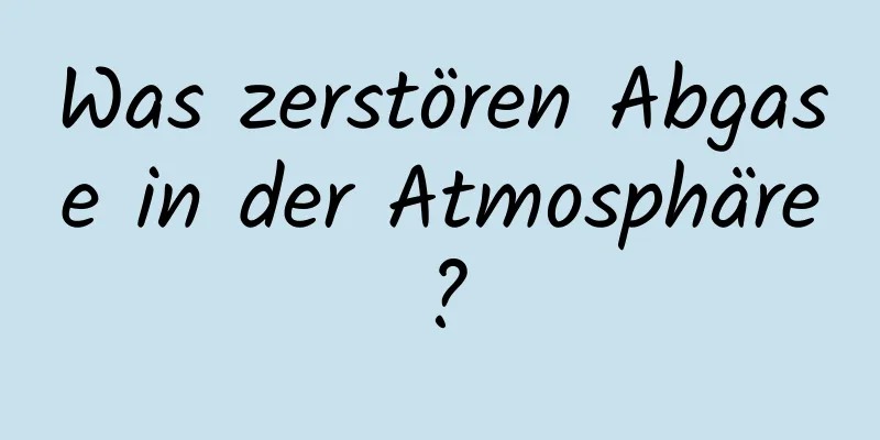 Was zerstören Abgase in der Atmosphäre?