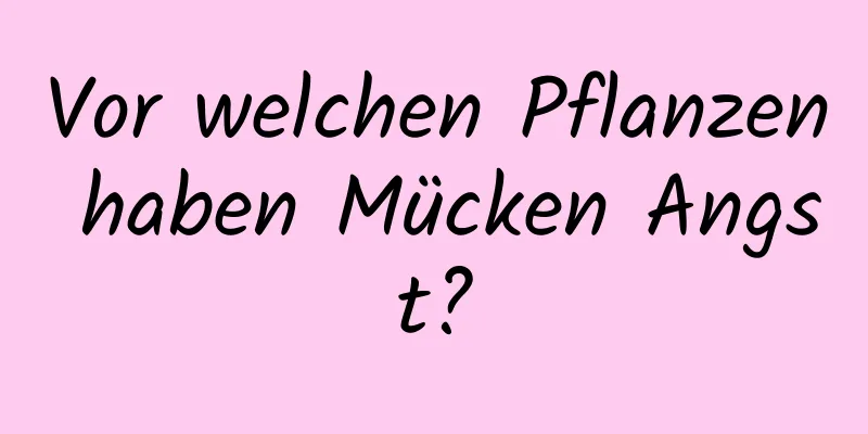 Vor welchen Pflanzen haben Mücken Angst?