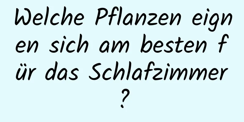 Welche Pflanzen eignen sich am besten für das Schlafzimmer?