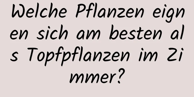 Welche Pflanzen eignen sich am besten als Topfpflanzen im Zimmer?