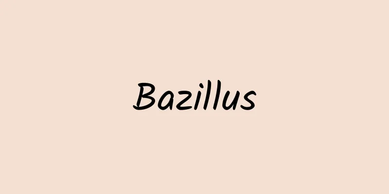 Bazillus
