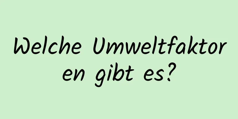 Welche Umweltfaktoren gibt es?