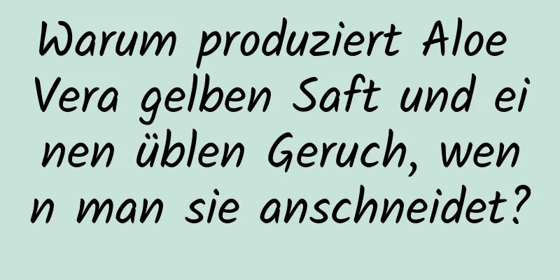 Warum produziert Aloe Vera gelben Saft und einen üblen Geruch, wenn man sie anschneidet?