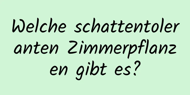 Welche schattentoleranten Zimmerpflanzen gibt es?