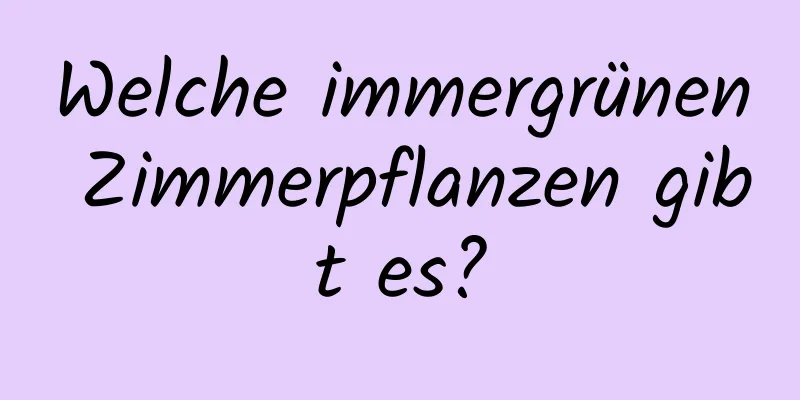 Welche immergrünen Zimmerpflanzen gibt es?