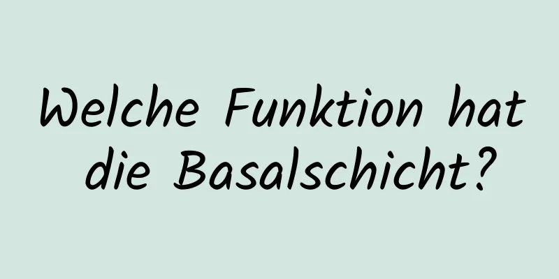 Welche Funktion hat die Basalschicht?