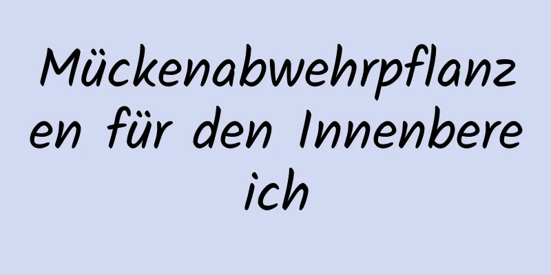 Mückenabwehrpflanzen für den Innenbereich