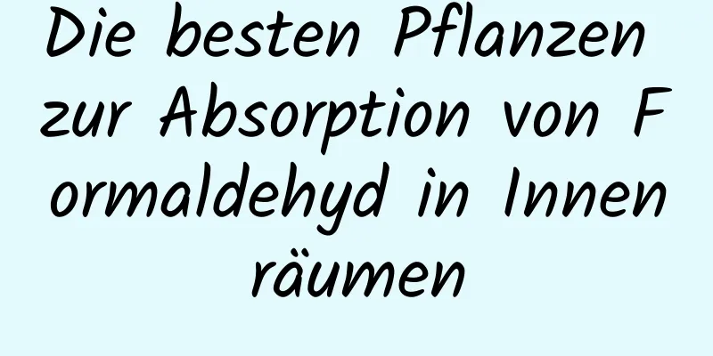 Die besten Pflanzen zur Absorption von Formaldehyd in Innenräumen