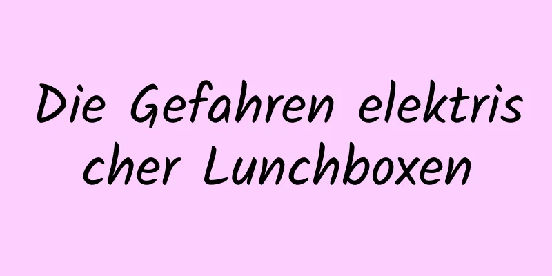 Die Gefahren elektrischer Lunchboxen