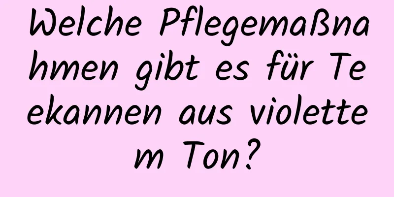 Welche Pflegemaßnahmen gibt es für Teekannen aus violettem Ton?