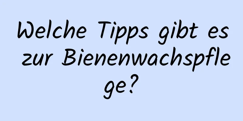 Welche Tipps gibt es zur Bienenwachspflege?