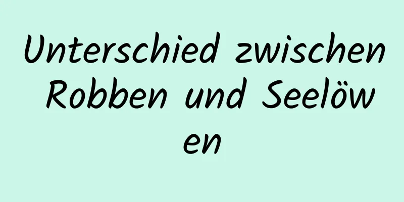 Unterschied zwischen Robben und Seelöwen