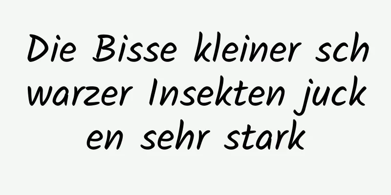Die Bisse kleiner schwarzer Insekten jucken sehr stark