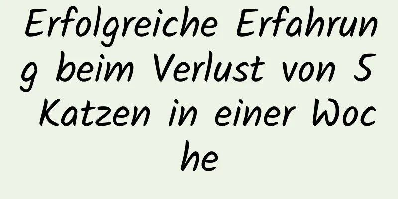 Erfolgreiche Erfahrung beim Verlust von 5 Katzen in einer Woche
