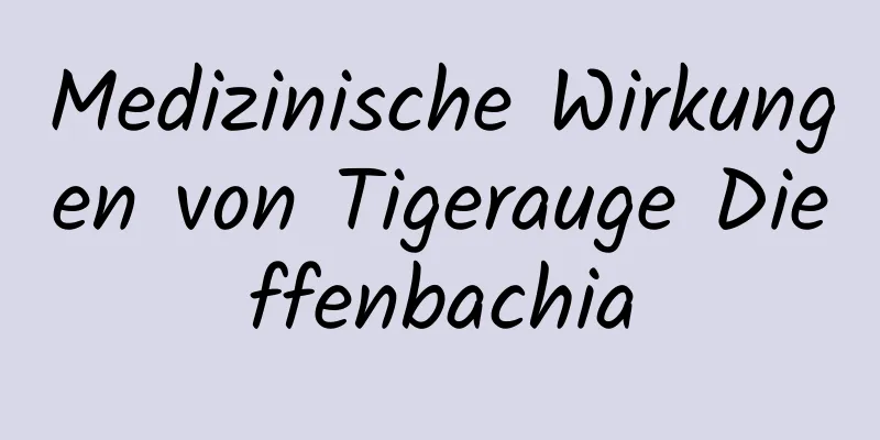 Medizinische Wirkungen von Tigerauge Dieffenbachia