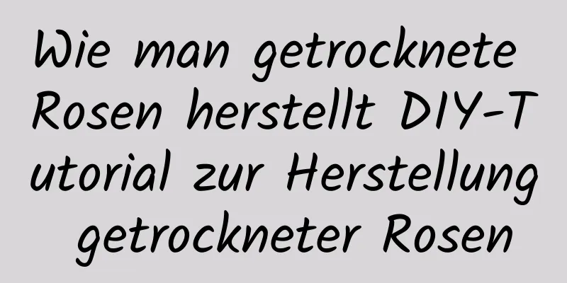 Wie man getrocknete Rosen herstellt DIY-Tutorial zur Herstellung getrockneter Rosen