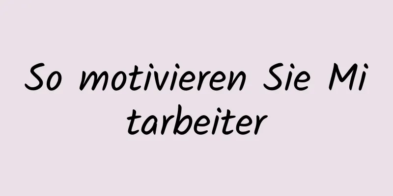 So motivieren Sie Mitarbeiter