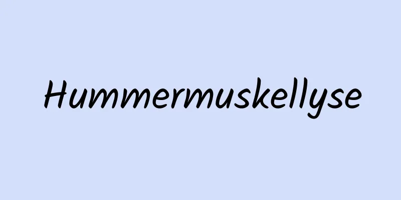 Hummermuskellyse