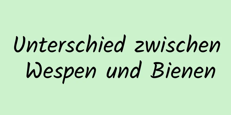 Unterschied zwischen Wespen und Bienen