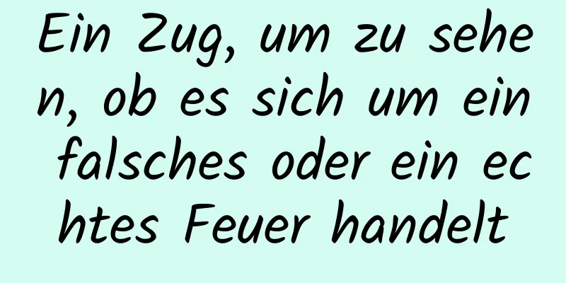 Ein Zug, um zu sehen, ob es sich um ein falsches oder ein echtes Feuer handelt