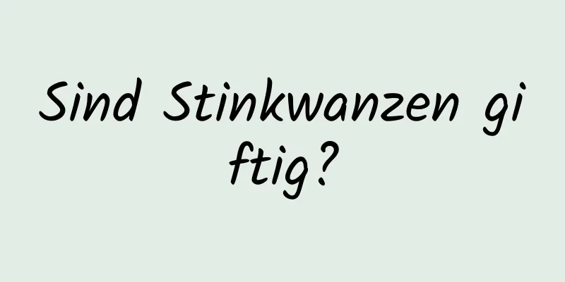Sind Stinkwanzen giftig?