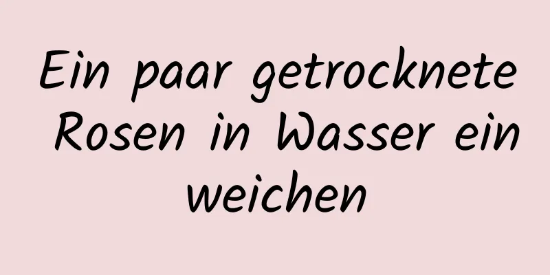 Ein paar getrocknete Rosen in Wasser einweichen