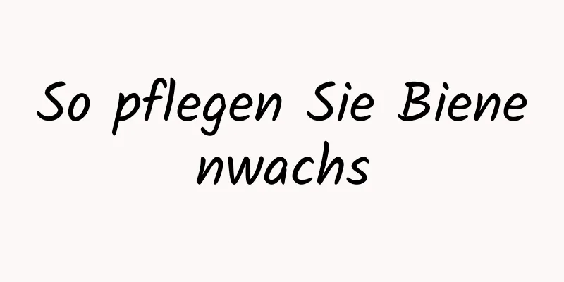 So pflegen Sie Bienenwachs