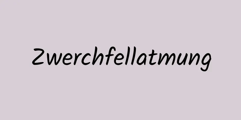 Zwerchfellatmung