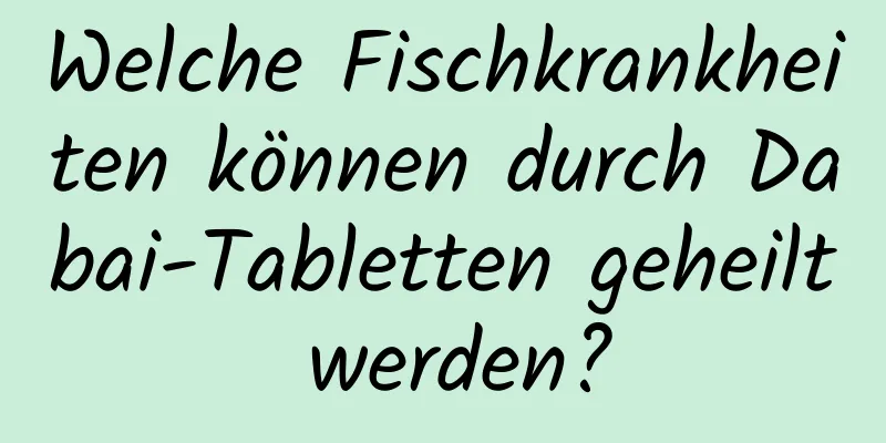 Welche Fischkrankheiten können durch Dabai-Tabletten geheilt werden?