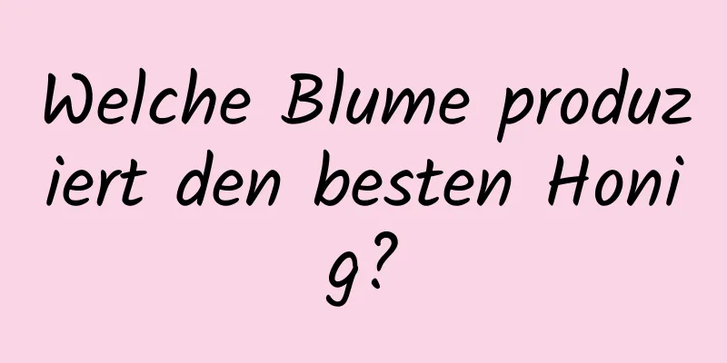 Welche Blume produziert den besten Honig?